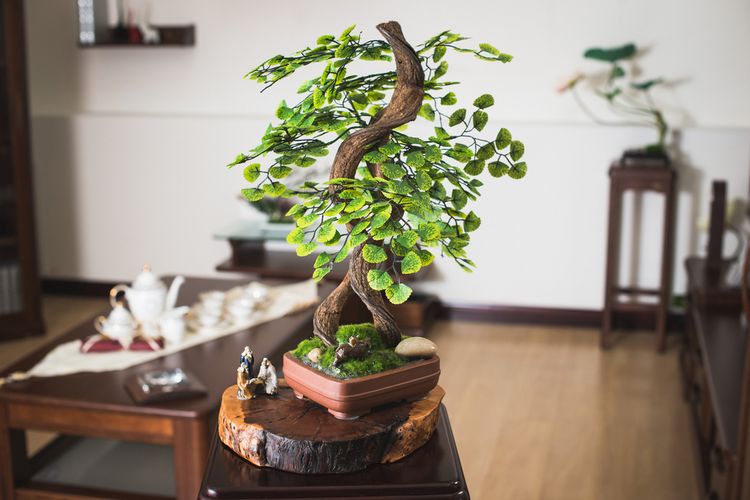 Bonsai, mint a Japán lakberendezési stílus része