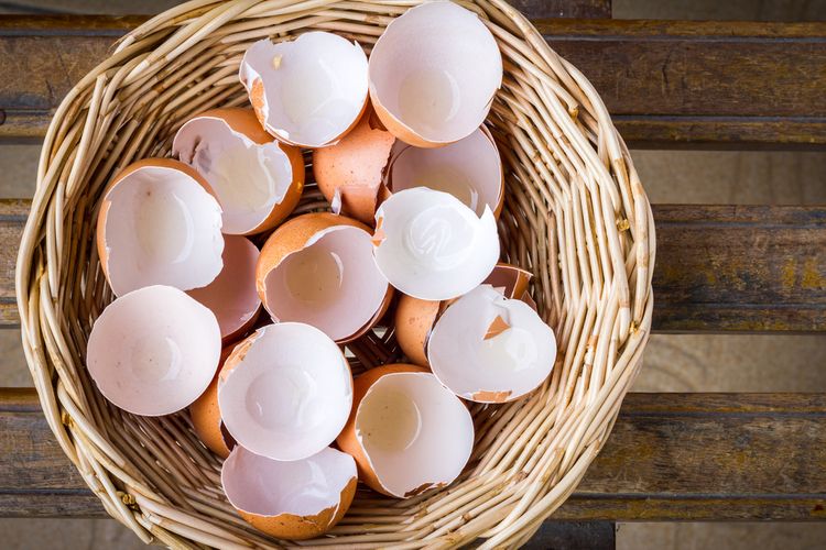 Tippek a tojáshéj felhasználására