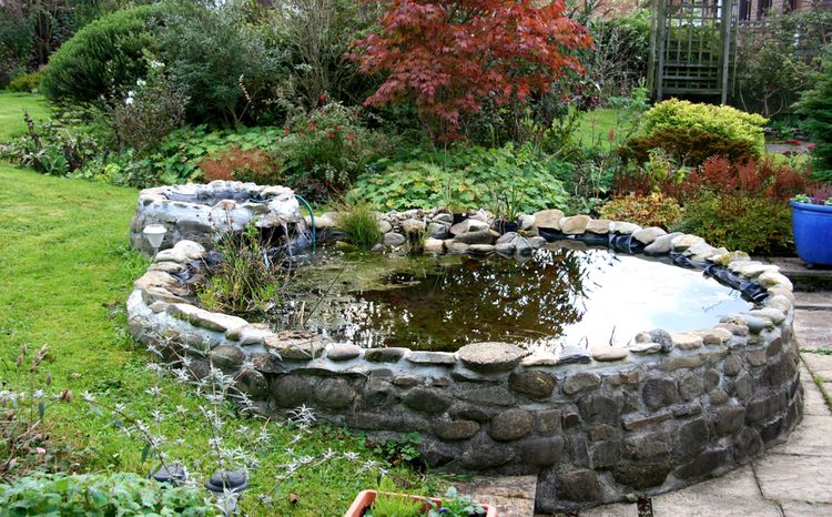 Hogyan tervezzen és valósítson meg egy kerti tavat saját maga?