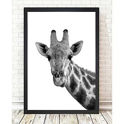 Giraffe Portrait kép, 24 x 29 cm - Tablo Center