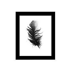 Alpyros Feather kép, 23 x 28 cm