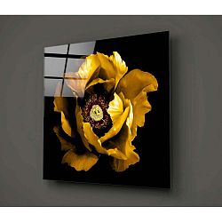 Calipsa Amarillo fekete-sárga üvegezett kép, 30 x 30 cm - Insigne