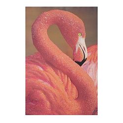 Flamingo kézzel festett kép fenyőfa keretben, 80 x 120 cm - Mauro Ferretti