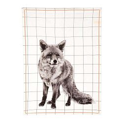 Grid Fox konyharuha, 50x70 cm - Present Time