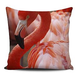 Home de Bleu Flamingo piros-fehér díszpárna, 43 x 43 cm - Kate Louise