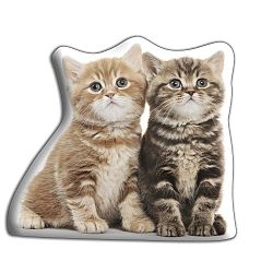 Két kiscica párna - Adorable Cushions