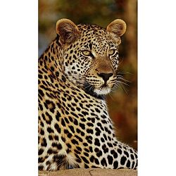 Leopard strandtörölköző nyomtatott mintával, 100 x 180 cm - Good Morning