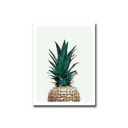 Onno Ananas kép, 30 x 40 cm
