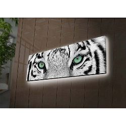 Tiger falikép háttérvilágítással, 90 x 30 cm