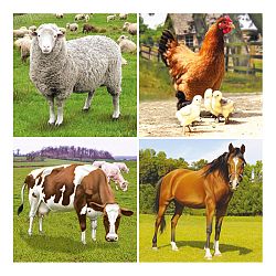 Bino Farm puzzle, 36 db