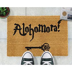 Alohomora lábtörlő, 40 x 60 cm - Artsy Doormats