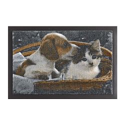 Animals Dog and Cat lábtörlő, 40 x 60 cm - Hanse Home