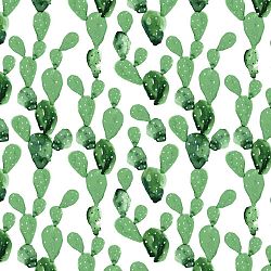 Cactus tapéta, 50 x 280 cm - Dekornik
