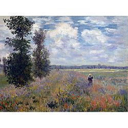 Claude Monet festmény - Poppy Fields near Argenteuil, 40x30 cm