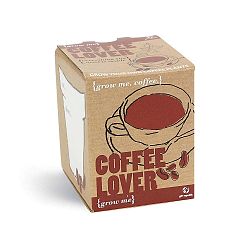 Coffe Lover ültetőszett kávémagokkal - Gift Republic