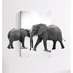 Elephants 3D fali kép, 40 x 60 cm - Mosticx