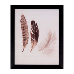 Feathers kép, 25 x 30 cm - sømcasa