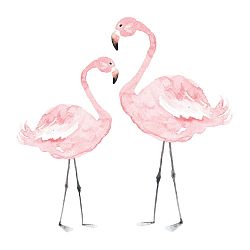Flamingos falmatrica, 110 x 110 cm - Dekornik