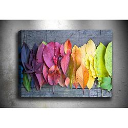 Gradient Leaves kép, 70 x 50 cm - Tablo Center