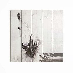 Horse fa kép, 50 x 50 cm - Graham & Brown