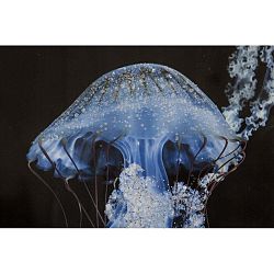 Medua Blue kézzel festett kép fenyőfa keretben, 80 x 120 cm - Mauro Ferretti