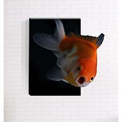 Nemo 3D fali kép, 40 x 60 cm - Mosticx