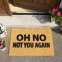 Not You Again lábtörlő, 40 x 60 cm - Artsy Doormats