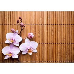 Orchid vinil szőnyeg, 52 x 75 cm - Zerbelli
