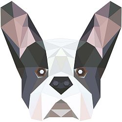 Origami Bulldog falmatrica - Ambiance