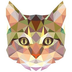 Origami Cat falmatrica - Ambiance