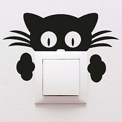 Plug Kitten falmatrica - Ambiance