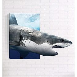 Shark 3D fali kép, 40 x 60 cm - Mosticx