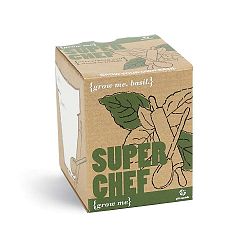 SuperChef növénytermesztő készlet bazsalikom magokkal - Gift Republic