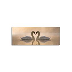 Swan Love vászonkép, 90 x 30 cm