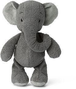 Ebu elefánt, szürke