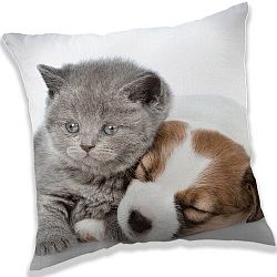 Puppy and Kitten párna, 40 x 40 cm