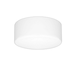 Luxera Luxera  - Fürdőszobai lámpa BLANK 1xE27/40W/230V